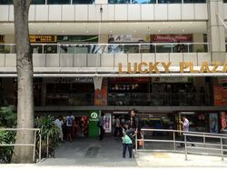Lucky Plaza (D9), Shop House #328818981